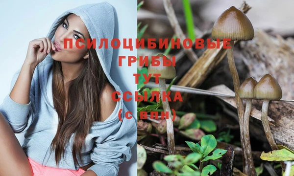 каннабис Алексеевка