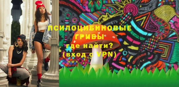 ПСИЛОЦИБИНОВЫЕ ГРИБЫ Алексин